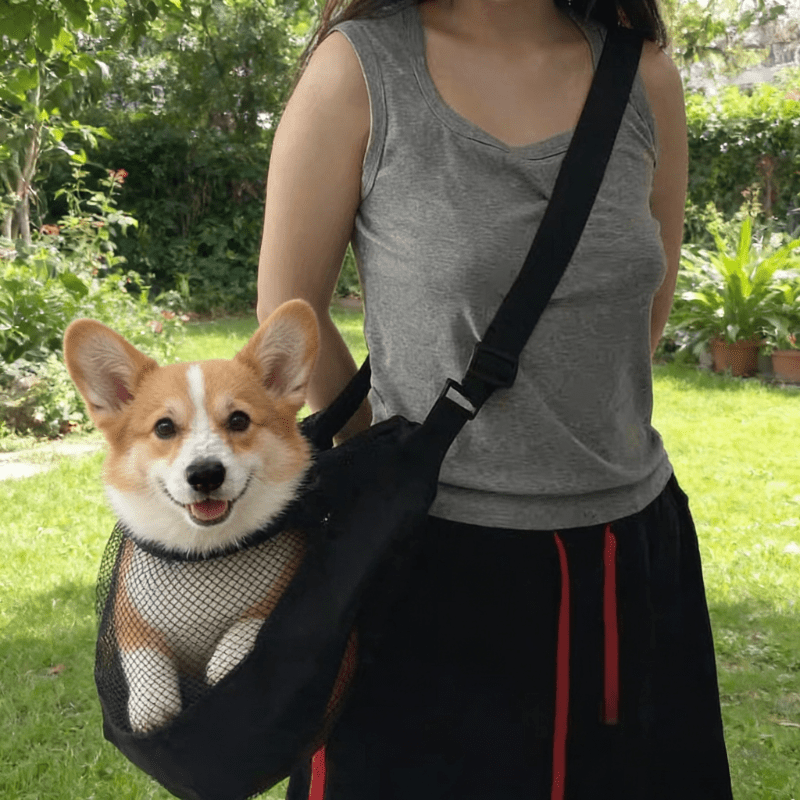 حقيبة حمل كلاب خفيفة الوزن وقا - مراجعة Travel Accessories Dog وسعره